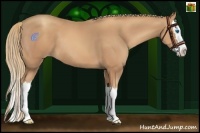 Horse Color:Gold Champagne Splash 