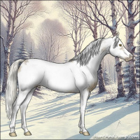 Horse Color:Liver Chestnut Ice Pearl Mushroom Sabino Frame 