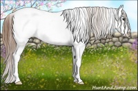 Horse Color:White Spotted Buckskin Snowcap 