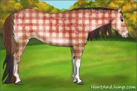 Horse Color:Plaid  Bay Ice Onyx 