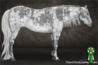 Horse Color:Silver Black Chinchilla Ice  and Silver Grullo Chinchilla Ice Roan Brindle 