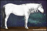Horse Color:Black Ice Sabino  and Black Ice Tobiano Frame 