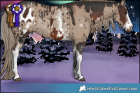 Horse Color:Liver Chestnut Sabino Appaloosa  and White Spotted Liver Red Dun Rabicano Brindle 