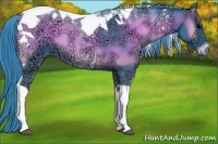 Horse Color:Watercolor Blue Onyx Ice Tobiano 