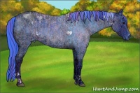 Horse Color:Watercolor Blue Ice Roan  and Watercolor Smoky Blue Ice Roan 