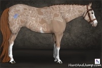Horse Color:White Spotted Chestnut Ice 