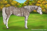Horse Color:White Spotted Silver Smoky Grullo Splash Rabicano  and White Spotted Silver Black Splash Rabicano 
