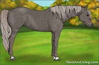 Horse Color:Silver Black 