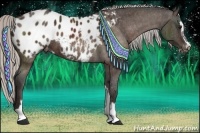 Horse Color:Silver Brown Sabino Appaloosa