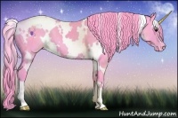 Horse Color:Watercolor White Spotted Black Appaloosa