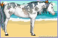 Horse Color:Watercolor White Spotted Brown Splash