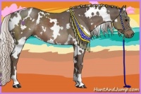 Horse Color:White Spotted Silver Black 