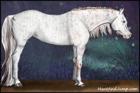 Horse Color:White Spotted Chocolate Black Chinchilla Ice Pearl  and White Spotted Chocolate Silver Black Chinchilla Ice Pearl Splash 