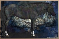 Horse Color:Midnight Blue Ice Roan and Midnight Blue Ice Roan