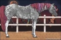 Horse Color:Painted Black Ice Tobiano  and Painted Black Ice Tobiano 