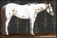 Horse Color:Bay Dun Splash Tobiano Near Leopard 