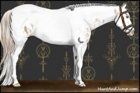 Horse Color:Buckskin Dun Splash Tobiano Blanket  and Silver Smoky Black Splash Tobiano Blanket 