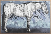 Horse Color:Black Ice  and White Spotted Blue Ice Roan 
