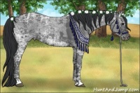 Horse Color:Blue Ice Roan  and Blue Ice Roan 