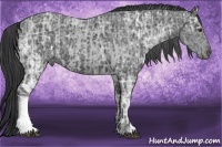 Horse Color:White Spotted Grullo Chinchilla Ice Roan  and Black Ice 