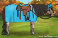 Horse Color:Blue Ice Roan  and Bay Ice Roan 
