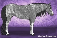 Horse Color:Blue Ice Roan  and Blue Ice Roan 