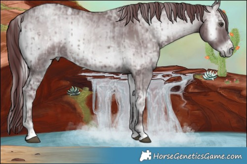 Horse Color:Chocolate Silver Blue Onyx Chinchilla Ice Mushroom  and Chocolate Blue Onyx Chinchilla Ice Mushroom 