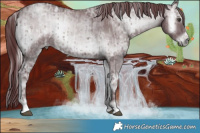 Horse Color:Chocolate Silver Blue Onyx Chinchilla Ice Mushroom  and Chocolate Blue Onyx Chinchilla Ice Mushroom 