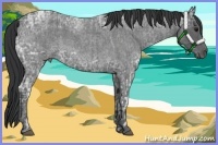 Horse Color:Blue Ice Roan  and Blue Ice Roan 