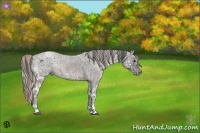 Horse Color:Blue Ice Roan  and Silver Blue Ice Roan