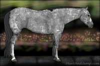 Horse Color:Blue Ice Roan  and Blue Ice Roan 