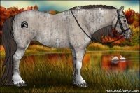 Horse Color:Blue Ice Roan Tobiano and Classic Champagne Ice Roan Tobiano