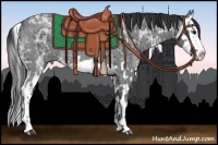 Horse Color:Blue Ice Roan and Blue Ice Roan Splash