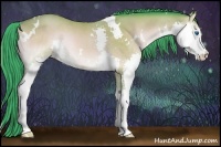 Horse Color:Watercolor White Spotted Sable Champagne Onyx Splash