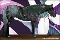 Horse Color:ERROR: UNKNOWN ANOMALY and ERROR: UNKNOWN ANOMALY