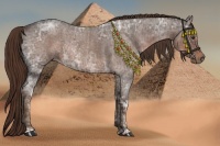 Horse Color:Liver Red Ice Roan  and Liver Red Ice Roan 