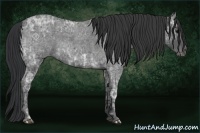Horse Color:Blue Ice Roan and Blue Ice Roan