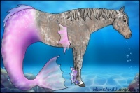 Horse Color:Blue Ice Roan  and Silver Blue Ice Roan 