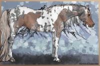 Horse Color:Black Ice  and Silver Black Ice Tobiano 