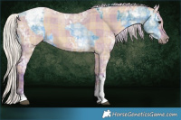 Horse Color:Watercolor Plaid  Brown Ice Tobiano  and Watercolor Plaid  Silver Grullo Ice Sabino Tobiano 
