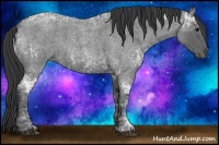 Horse Color:Blue Ice Roan  and Blue Ice Roan Rabicano 