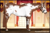 Horse Color:Chestnut Frame