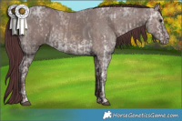 Horse Color:White Spotted Chocolate Brown Ice Dun  and Chocolate Grullo Ice 