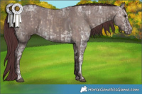 Horse Color:White Spotted Chocolate Brown Ice Dun  and Chocolate Grullo Ice