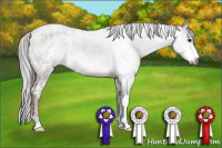 Horse Color:Gray Bay Ice Roan Appaloosa Rabicano 