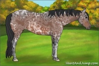 Horse Color:Brown Ice 