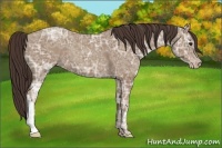 Horse Color:Classic Champagne Ice 