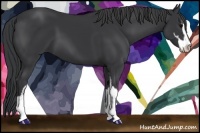 Horse Color:Black Sabino 