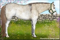 Horse Color:White Spotted Liver Red Dun Rabicano