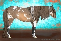 Horse Color:White Spotted Buckskin Varnish 